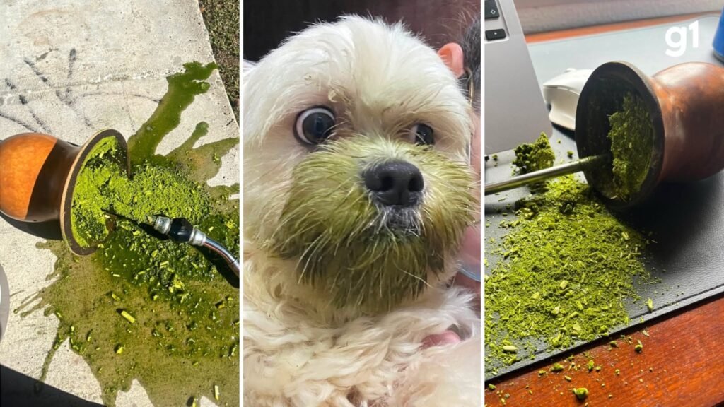 Chimarrão derramado vira fenômeno viral nas redes sociais com registros diários