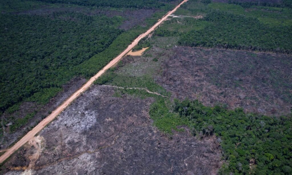 Fazenda define normas para o quinto leilão do Eco Invest Brasil voltado à transição ecológica