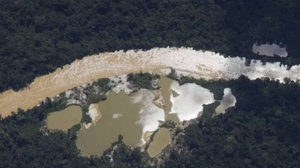 Garimpo ilegal no Parque Nacional Mapinguari leva quatro homens ao banco dos réus