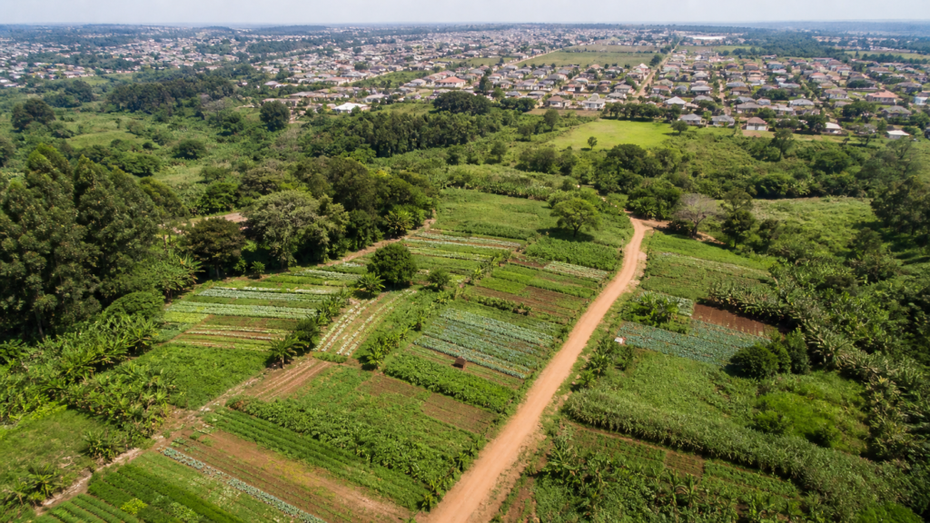 Governo federal oficializa desapropriação da Fazenda Itahyê para reforma agrária
