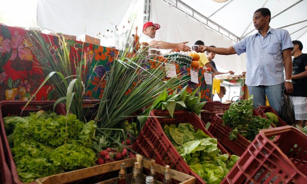 Governo prorroga até 2027 prazo para autônomos e produtores rurais obterem CNPJ