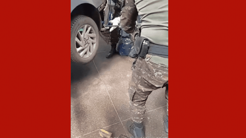 Jiboia é resgatada de para-choque de veículo em Cuiabá