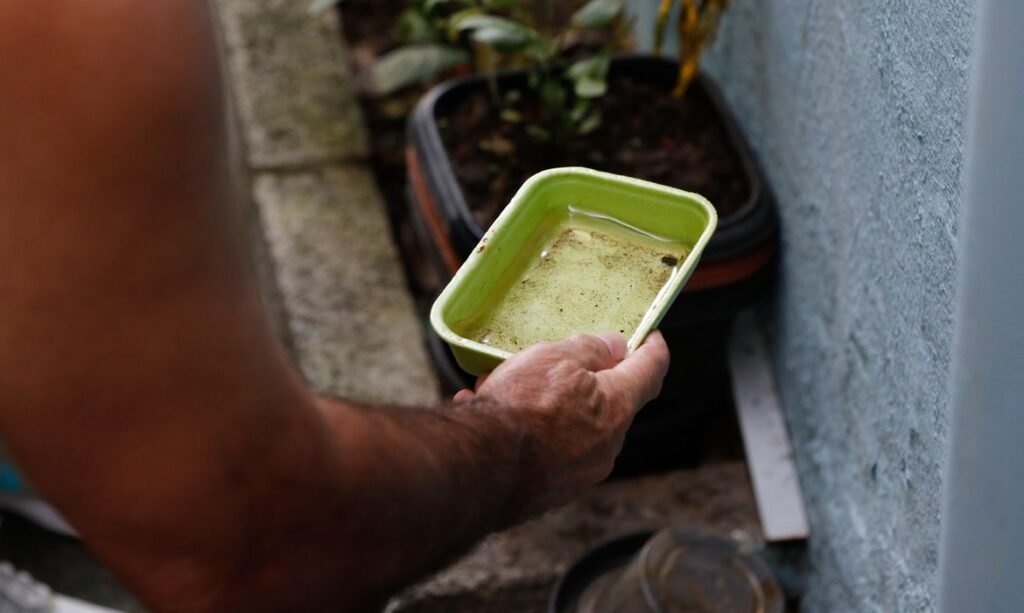 El Niño eleva risco de surtos de dengue e chikungunya no Brasil