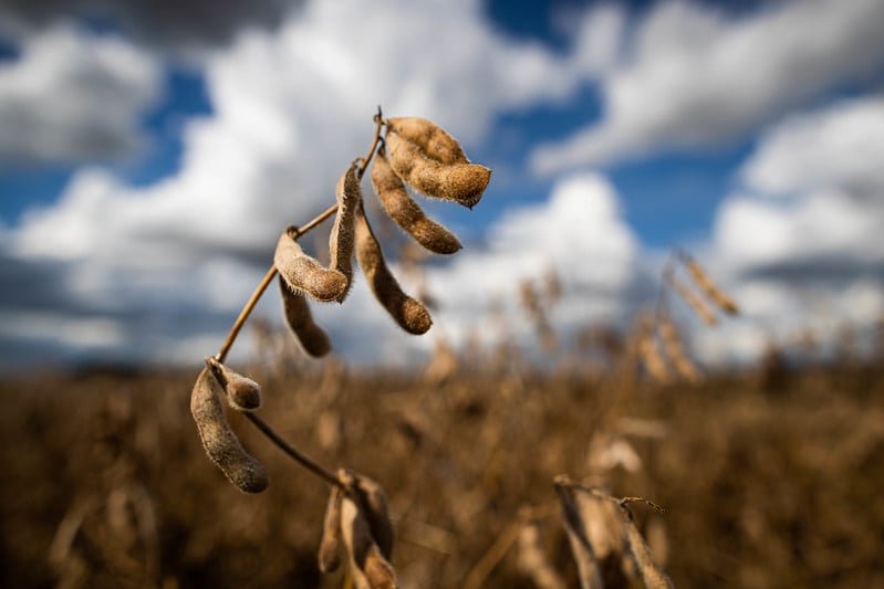 Agronegócio brasileiro registra retração de 2% no primeiro trimestre de 2026