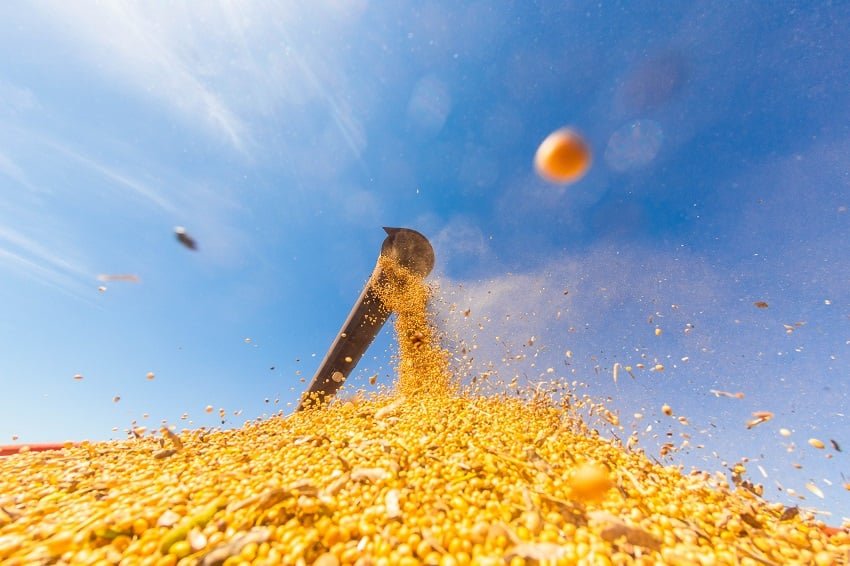 Alta da soja em Mato Grosso comprime margens da indústria de esmagamento