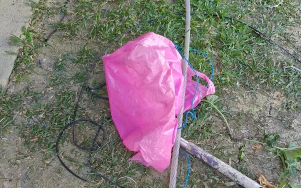 Avó utiliza sacola plástica para salvar neta de um mês durante incêndio em Manaus