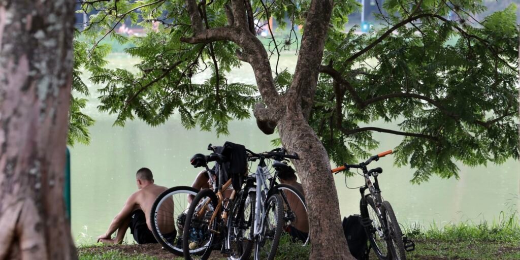Calor retorna a São Paulo com previsão de temperaturas próximas aos 30ºC