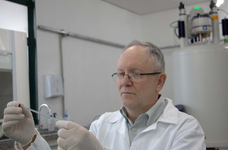 Cientistas criam assinatura química para rastrear origem da tainha brasileira