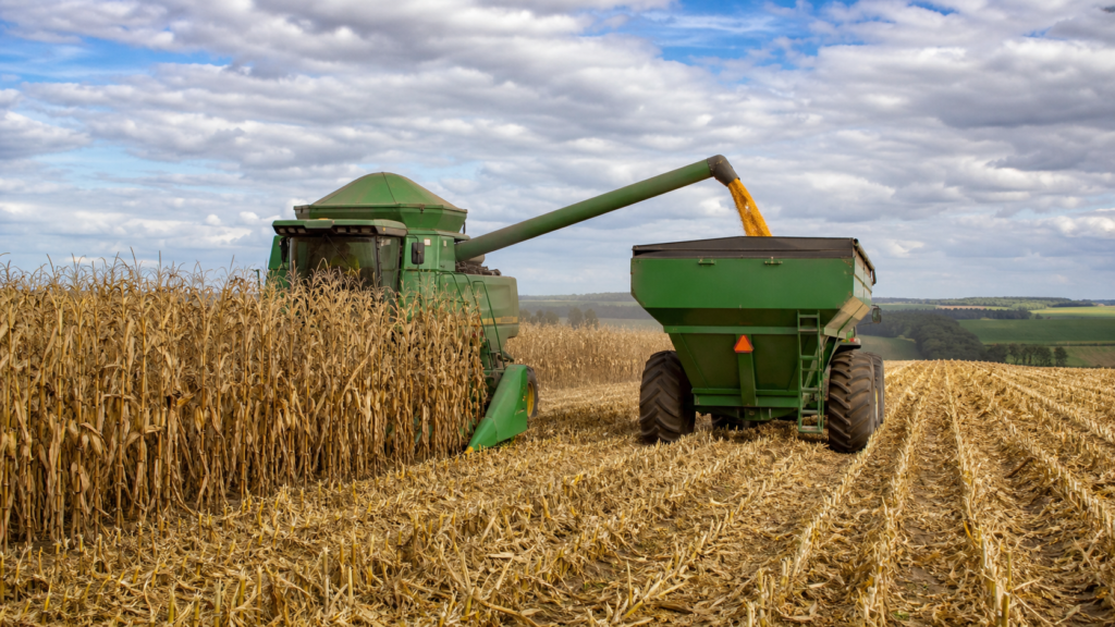 Colheita de milho em Mato Grosso do Sul alcança 37,3% da área cultivada