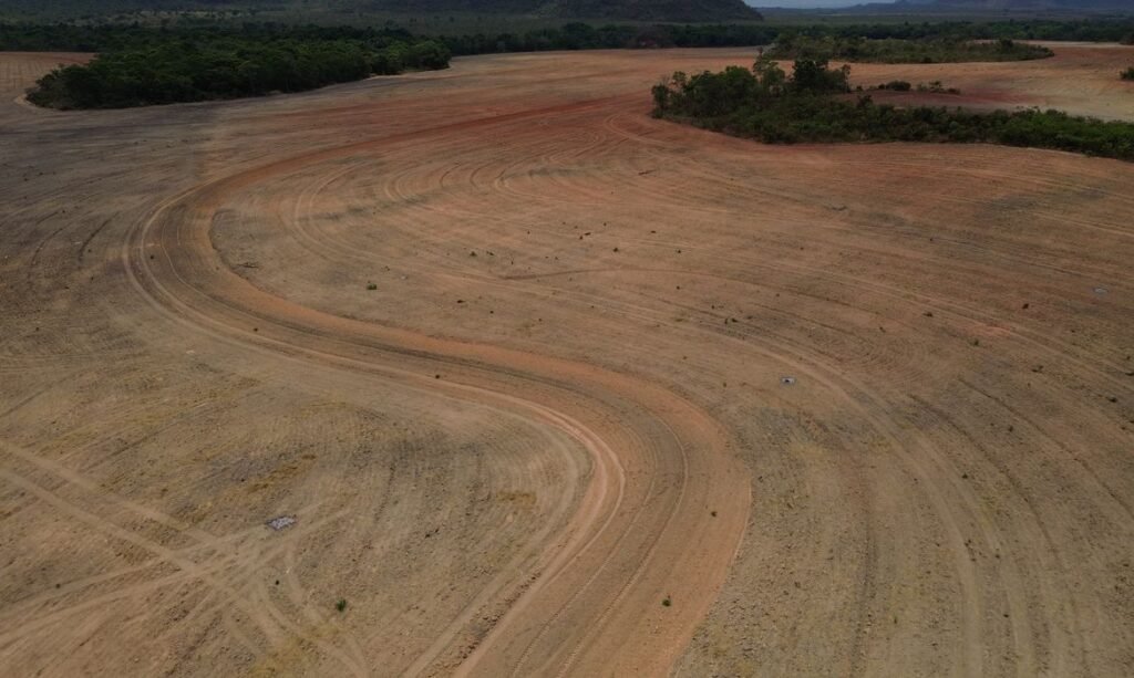 Desmatamento na Amazônia recua 37% e reforça meta de zerar perdas até 2030