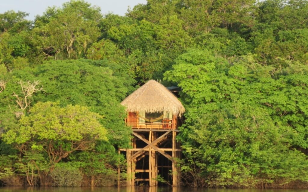 Hospedagem na Amazônia: experiências imersivas em hotéis de selva