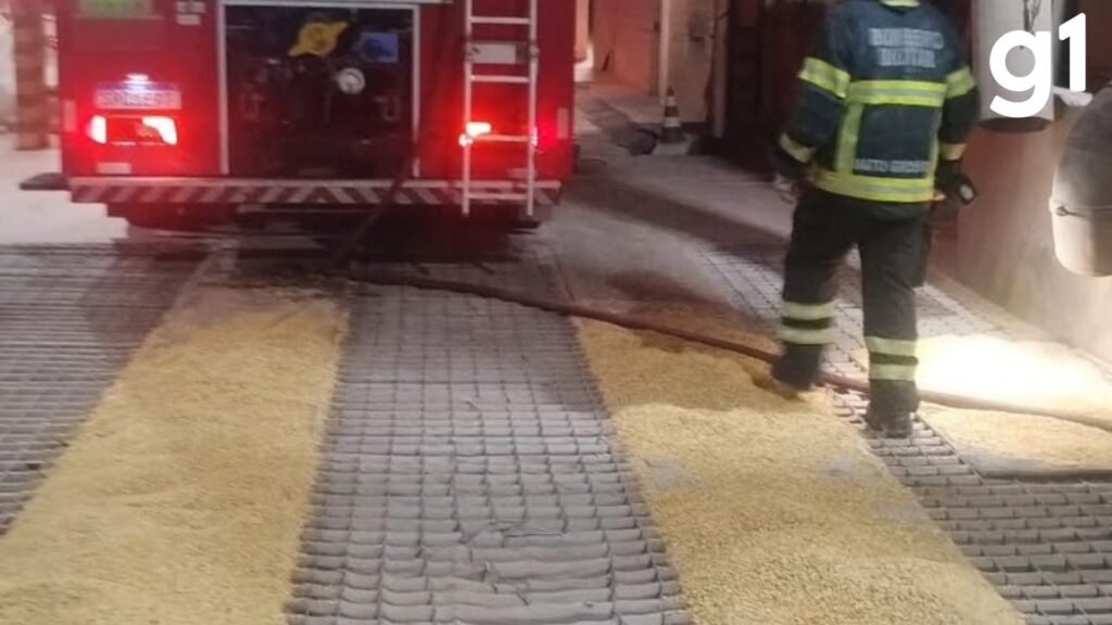 Incêndio em armazém de grãos mobiliza bombeiros na Br-163 em Mato Grosso