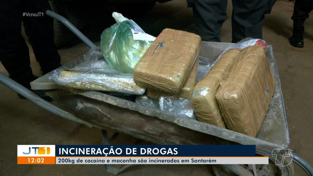 Mais de 200 kg de entorpecentes apreendidos em rotas do Rio Amazonas são destruídos pela Polícia Civil