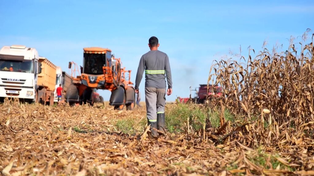 Mato Grosso lidera ranking nacional com maior proporção de homens solteiros