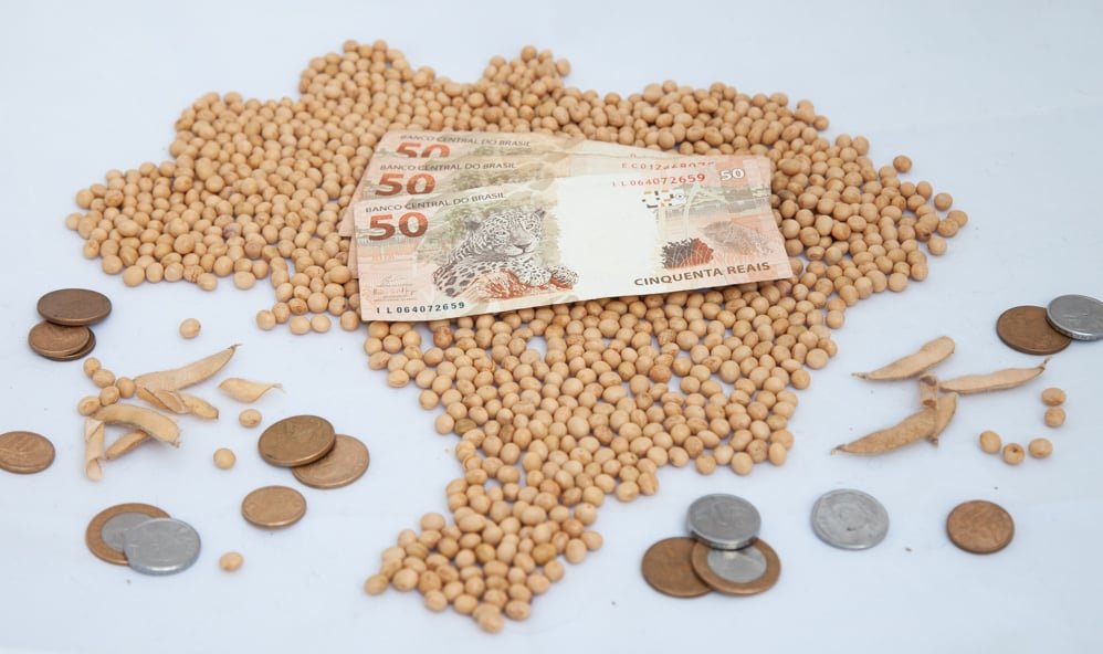Mercado de soja mantém estabilidade com negociações limitadas no Brasil