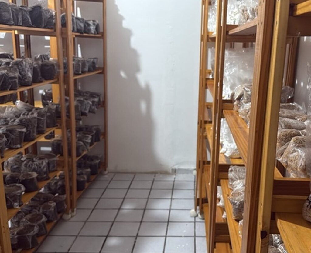 Polícia Federal desarticula esquema de tráfico que operava como empresa virtual