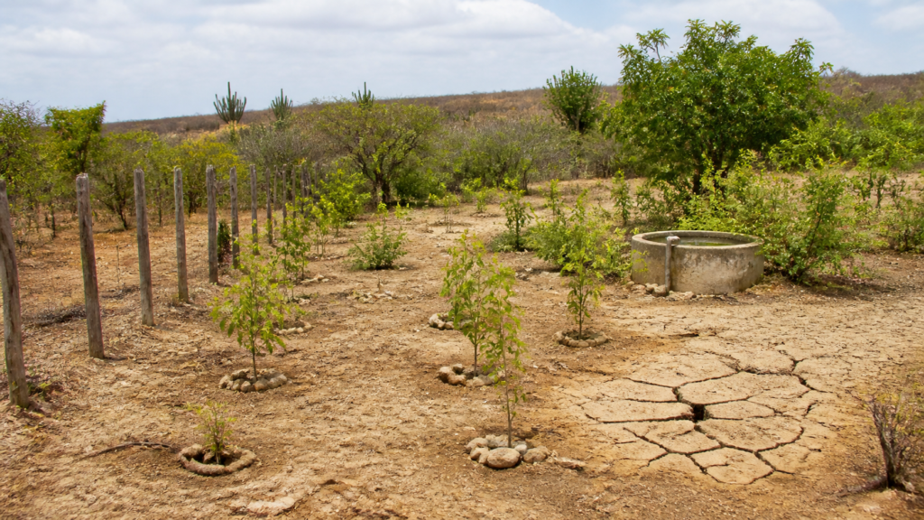 Projeto Sertão Vivo libera R$ 1,025 bilhão para garantir água e adaptação climática a 250 mil famílias