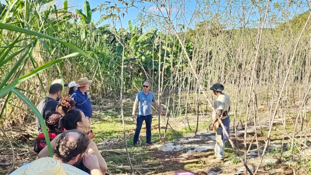 Sistema Appia da Embrapa recebe certificação e fortalece a agricultura familiar no Brasil
