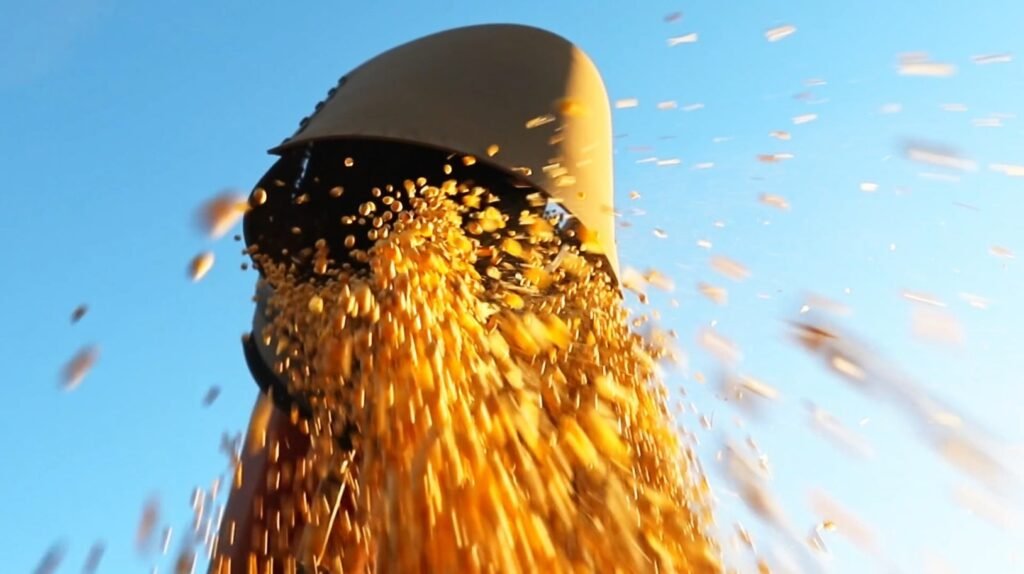 Soja brasileira enfrenta retração de produtores e desaceleração nas vendas