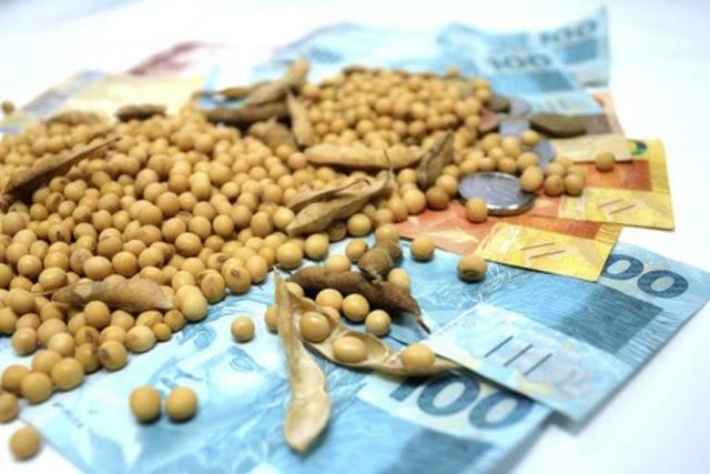Soja mantém estabilidade no Brasil em dia de ritmo lento nos negócios