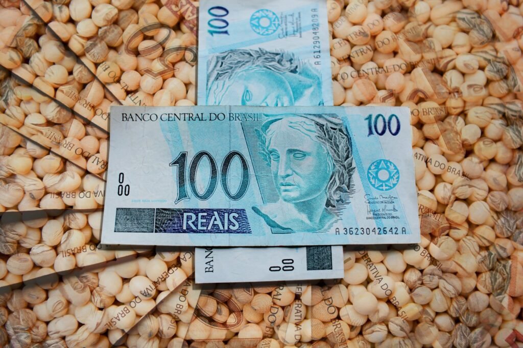 Soja mantém ritmo cauteloso no mercado brasileiro com oscilações pontuais