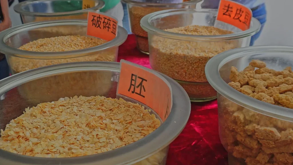 A jornada da soja brasileira até as gigantescas indústrias de processamento na China