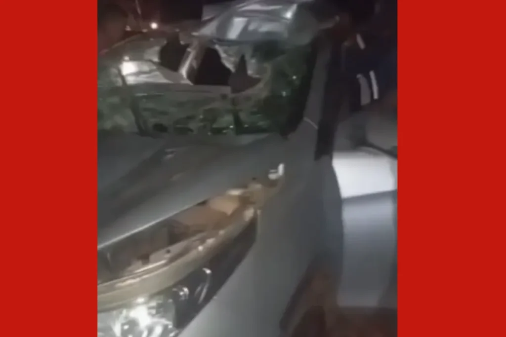 Atropelamento de animal em rodovia de Mato Grosso deixa motorista ferido