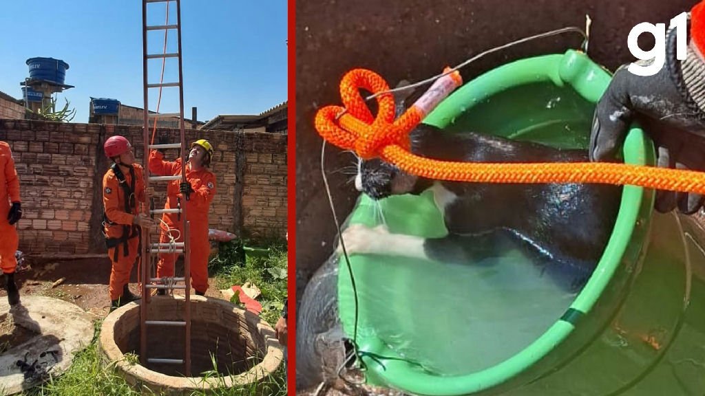 Corpo de Bombeiros resgata gato preso em poço de 12 metros em Alta Floresta
