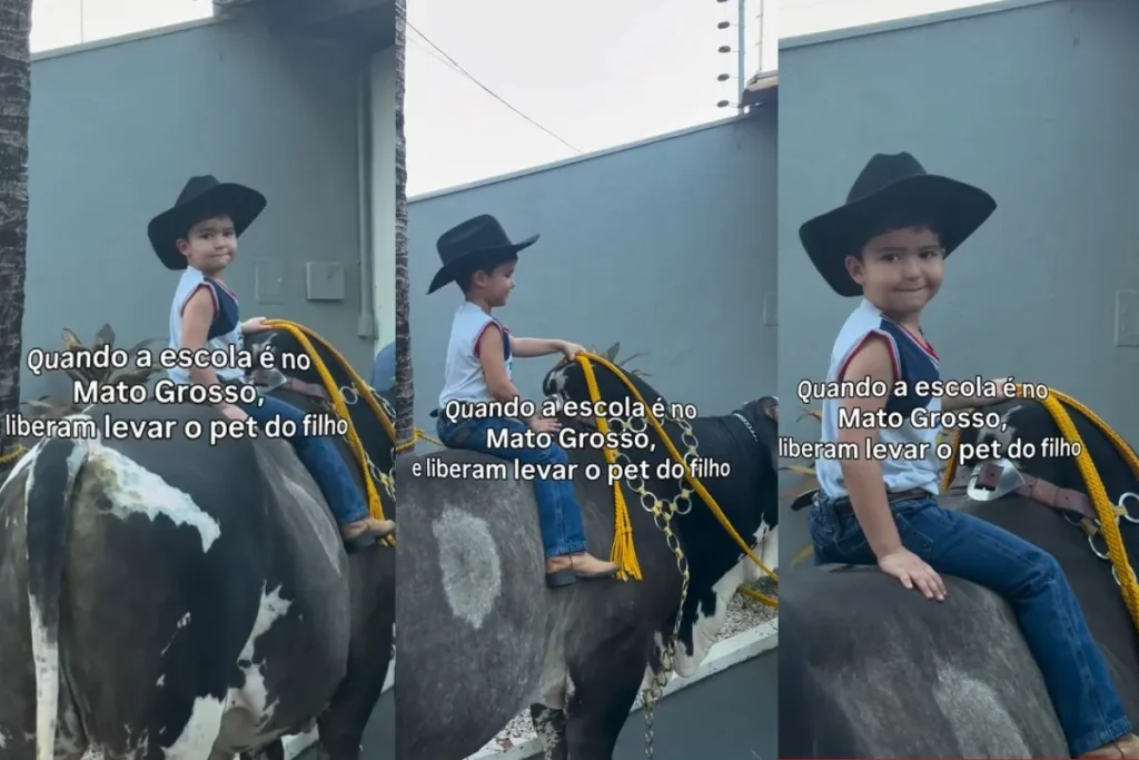 Criança de três anos chega à escola montada em boi de 600 quilos em Mato Grosso
