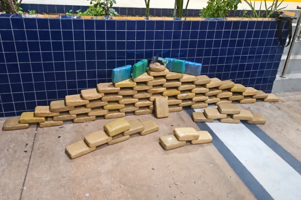 Motorista é detido com quase 80 kg de entorpecentes em rodovia de Mato Grosso