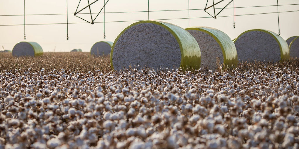 Mudança territorial altera ranking nacional e Sorriso perde liderança na produção agrícola