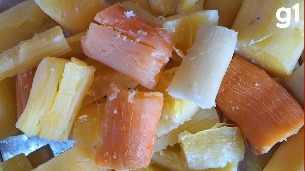 Pesquisa da UFMT transforma descarte de mandioca em suplemento nutritivo para gado na seca