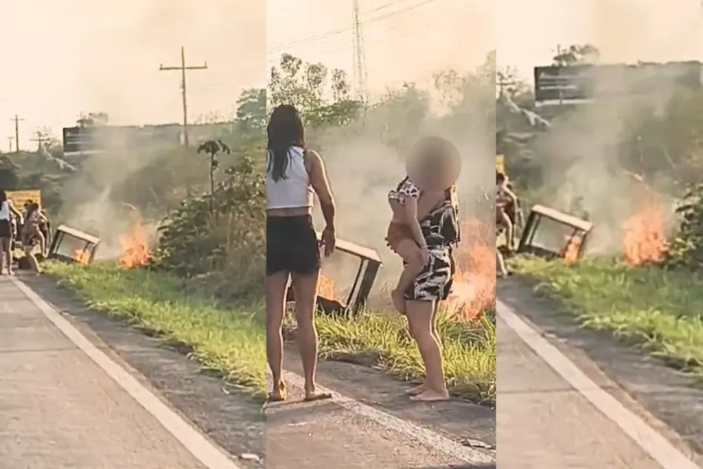 Queda de churrasqueira de veículo causa incêndio em vegetação na Mt-251