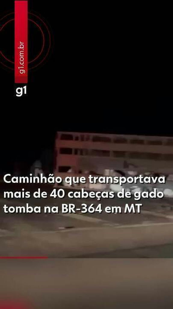 Acidente com caminhão de gado provoca interdição total na Br-364 em Mato Grosso