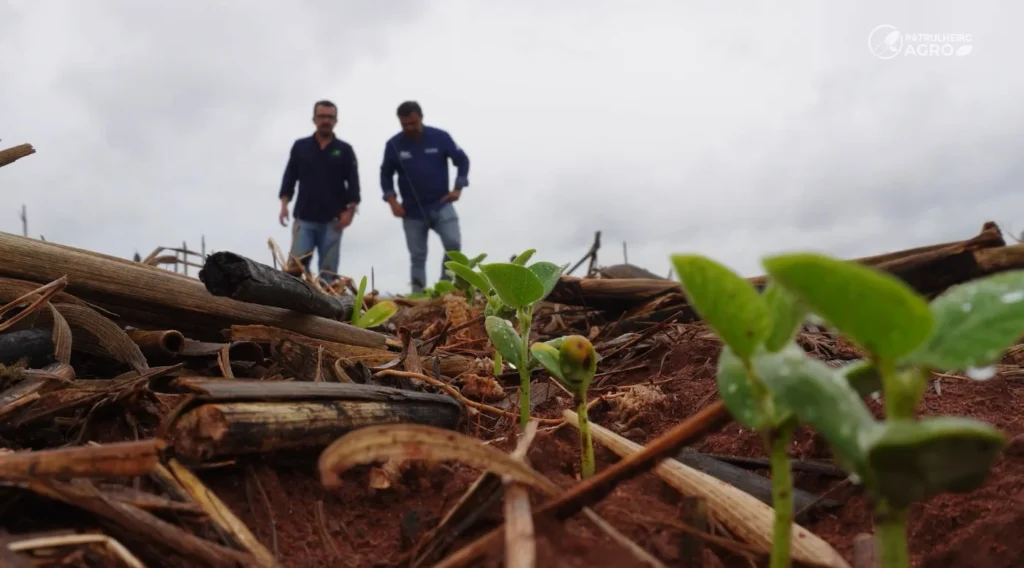 Clima instável e calor adiam plantio da safra 2026/27 de soja em Gaúcha do Norte