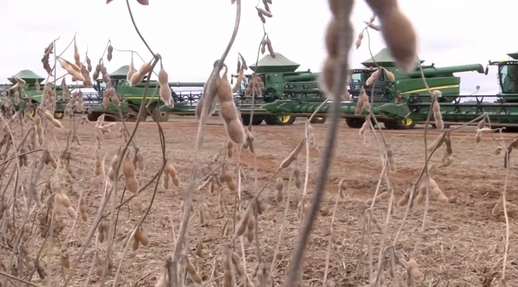 Endividamento rural de R$ 20 bilhões pressiona agenda do próximo governo