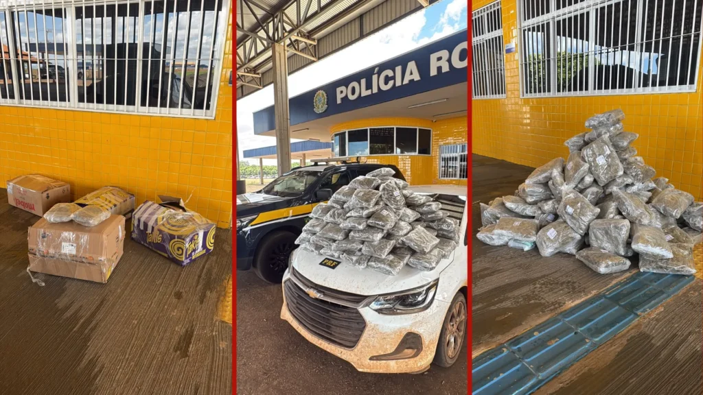Prisão em flagrante resulta na apreensão de entorpecentes em rodovia
