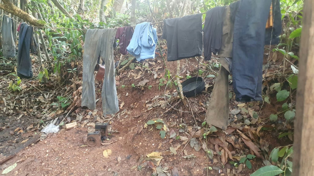 Quatro empregadores de Mato Grosso entram na lista suja do trabalho escravo