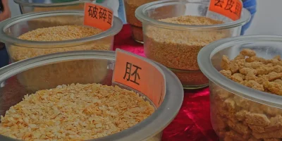 A jornada da soja brasileira até as gigantescas indústrias de processamento na China