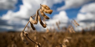 Agronegócio brasileiro registra retração de 2% no primeiro trimestre de 2026