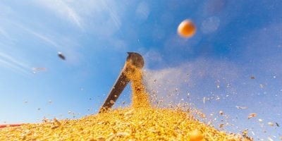 Alta da soja em Mato Grosso comprime margens da indústria de esmagamento