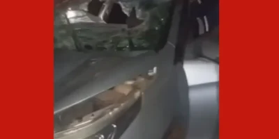Atropelamento de animal em rodovia de Mato Grosso deixa motorista ferido