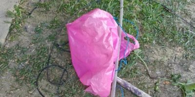 Avó utiliza sacola plástica para salvar neta de um mês durante incêndio em Manaus