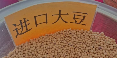China investe em tecnologia e genética para maximizar produção de soja em solo limitado
