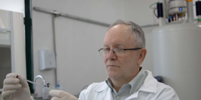 Cientistas criam assinatura química para rastrear origem da tainha brasileira