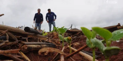 Clima instável e calor adiam plantio da safra 2026/27 de soja em Gaúcha do Norte