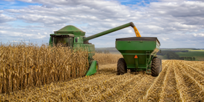 Colheita de milho em Mato Grosso do Sul alcança 37,3% da área cultivada