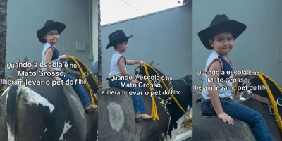 Criança de três anos chega à escola montada em boi de 600 quilos em Mato Grosso