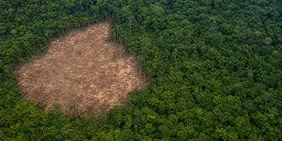 Desmatamento na Amazônia recua 10% no primeiro semestre de 2026