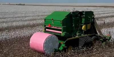 El Niño impõe cautela redobrada ao setor de algodão para a safra 2025/26